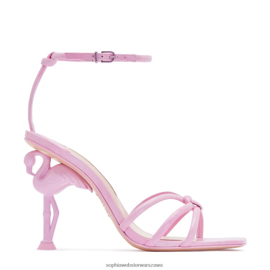 sandały we flamingi Sophia Webster P606NZ40 obuwie